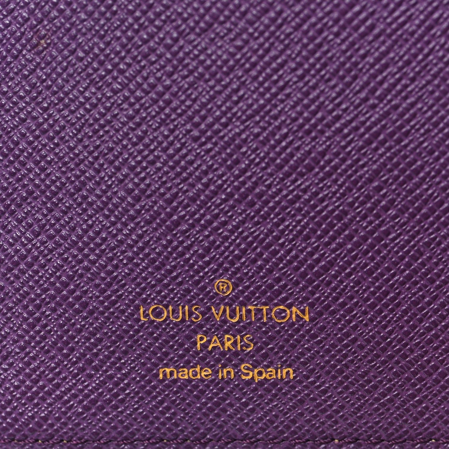 Louis Vuitton Epi Small Ring Agenda Cover Tassil 7 of 8