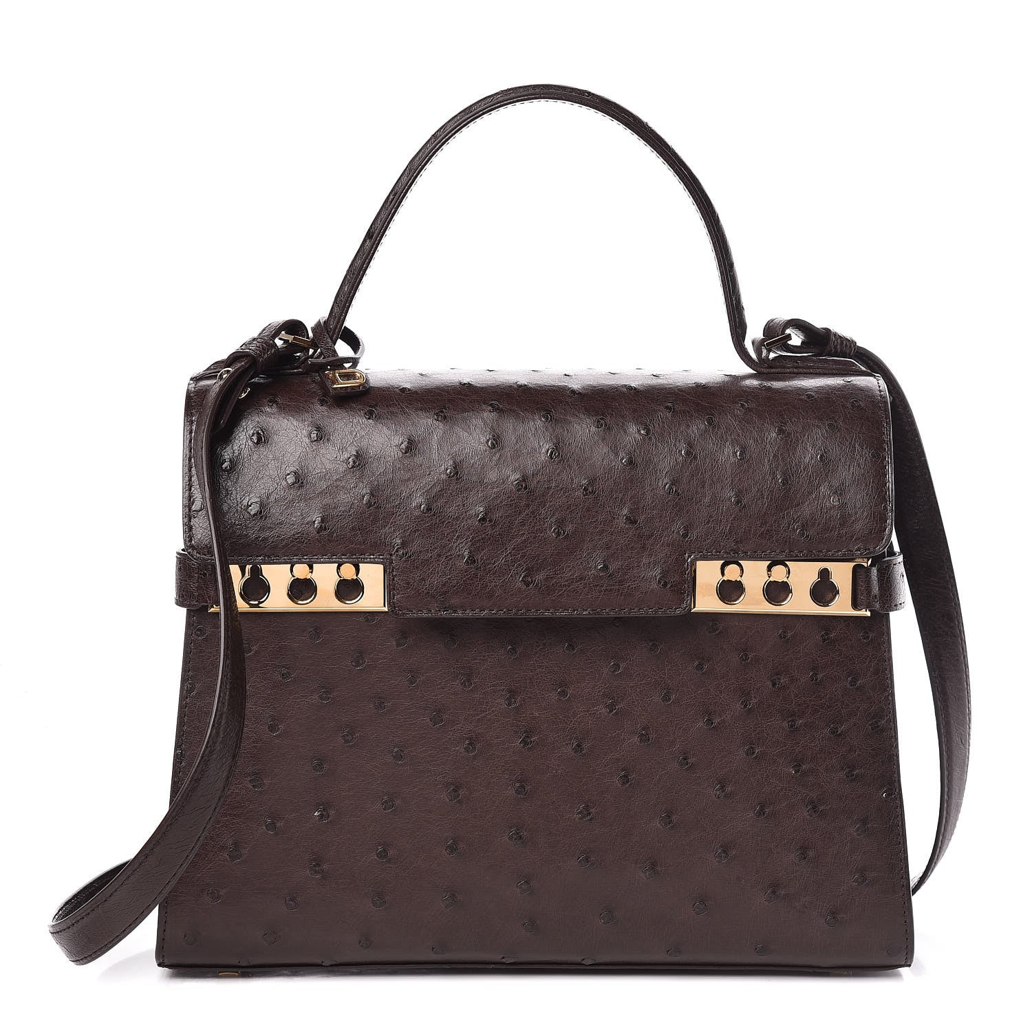 Delvaux Ostrich MM Tempete Satchel Brown 1 of 9