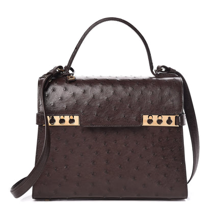 Delvaux Ostrich MM Tempete Satchel Brown 1 of 9