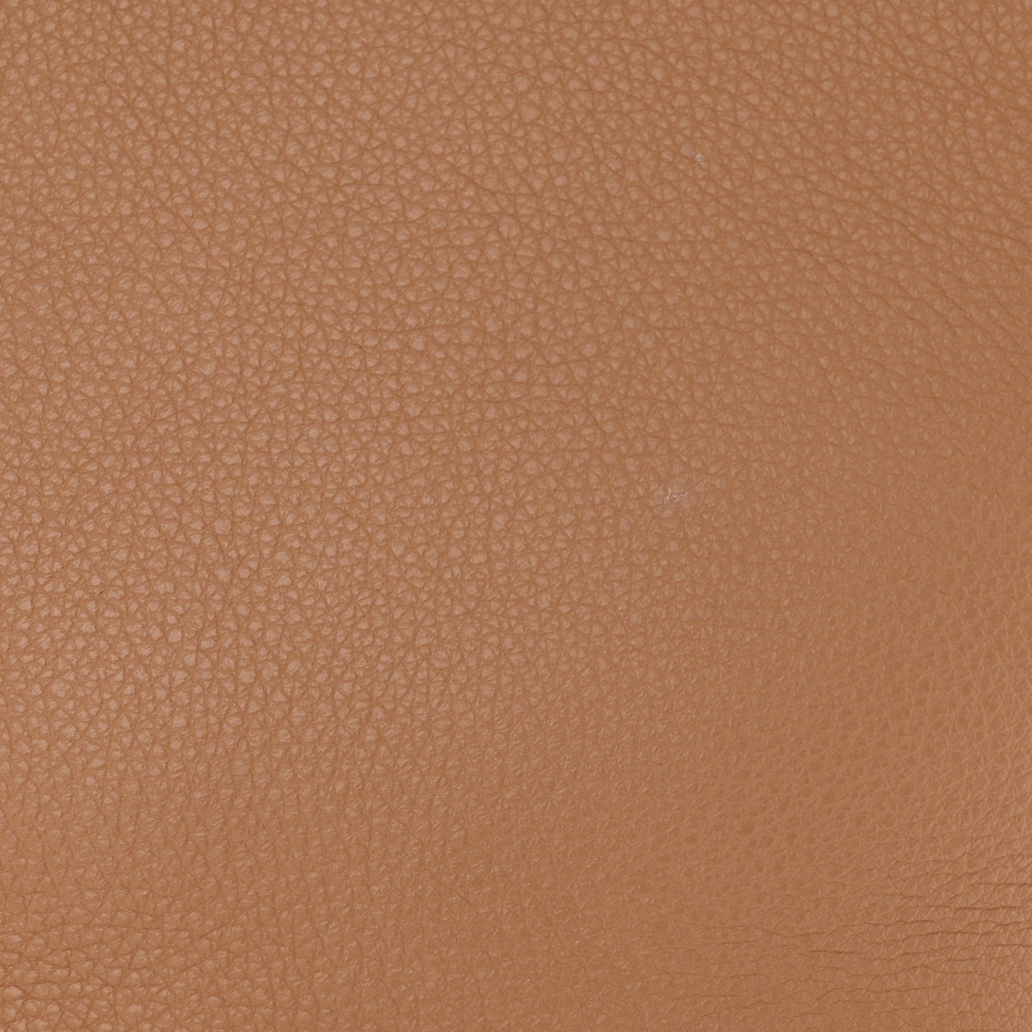 Grained Calfskin Medium N/S Park Tote Cinnamon