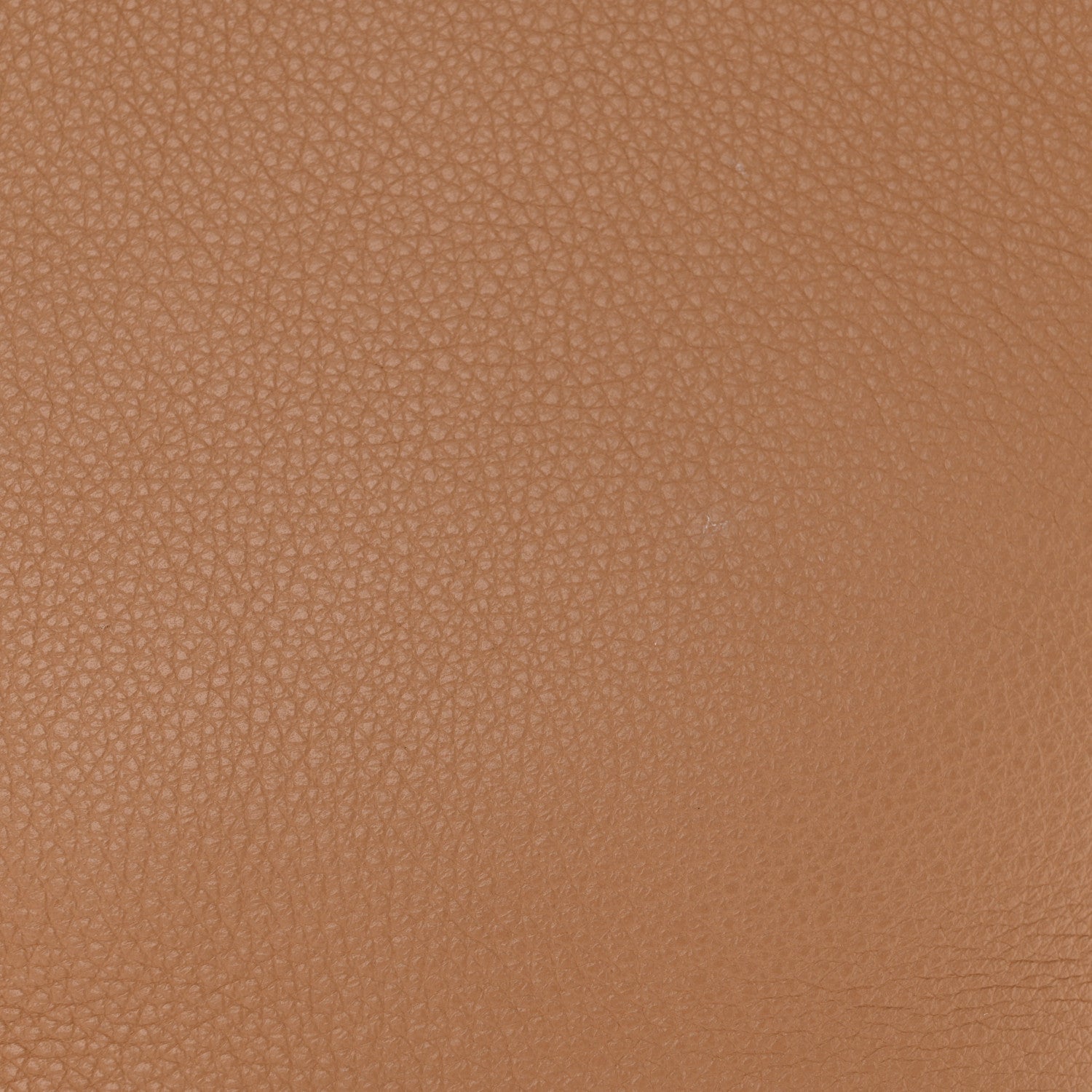 The Row Grained Calfskin Medium N/S Park Tote Cinnamon 12 of 13