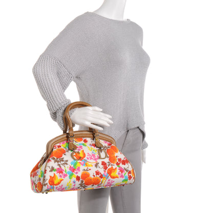 Christian Dior Floral Frame Satchel 5 of 8