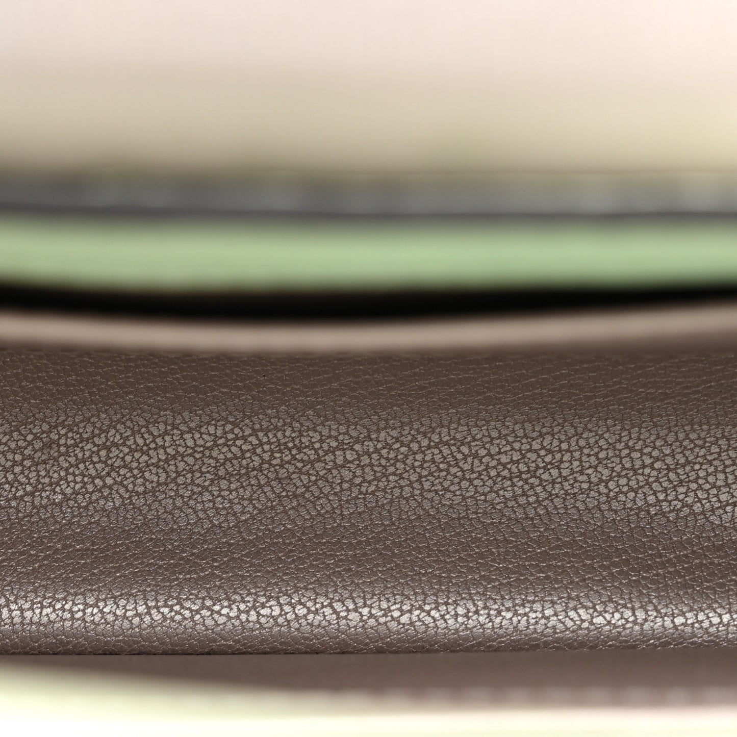 Ostrich Capucines Mini Vert Celadon