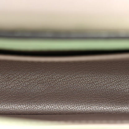Louis Vuitton Ostrich Capucines Mini Vert Celadon 6 of 11