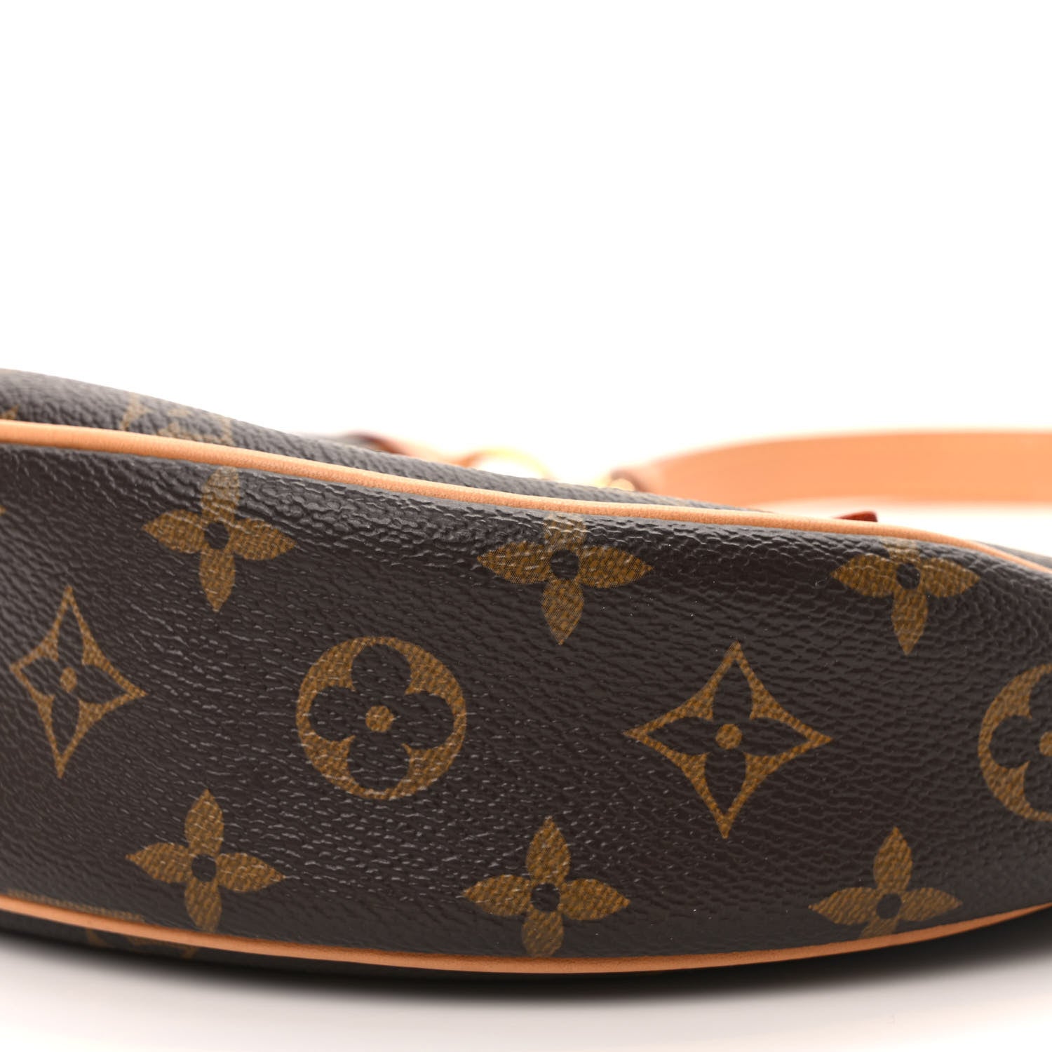 Louis Vuitton Monogram Loop 7 of 8