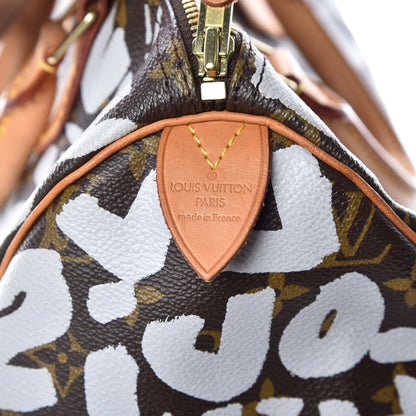 Louis Vuitton Monogram Graffiti Speedy 30 Silver 8 of 9