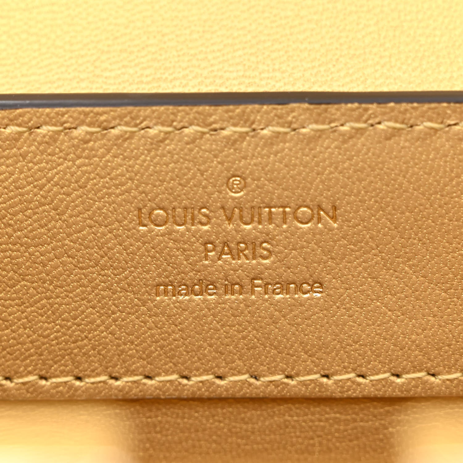 Louis Vuitton Alligator Mini Capucines Royal Garden 6 of 9