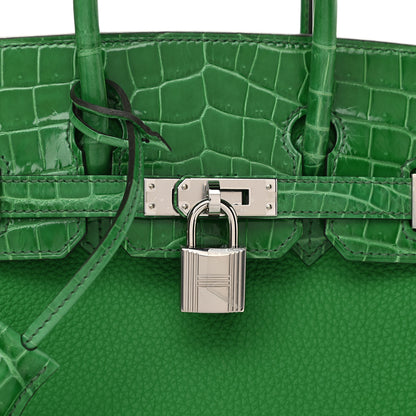 Hermes Togo Shiny Niloticus Crocodile Birkin Touch 25 Bambou Cactus 10 of 10
