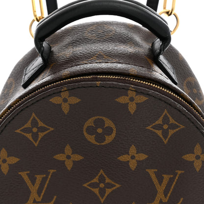 Louis Vuitton Monogram Palm Springs Backpack Mini 8 of 11