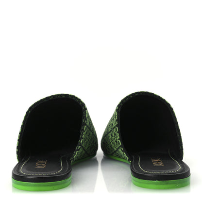 Loewe Jacquard Anagram Calfskin Pointy Mule Sandals 40 Apple Green 5 of 11
