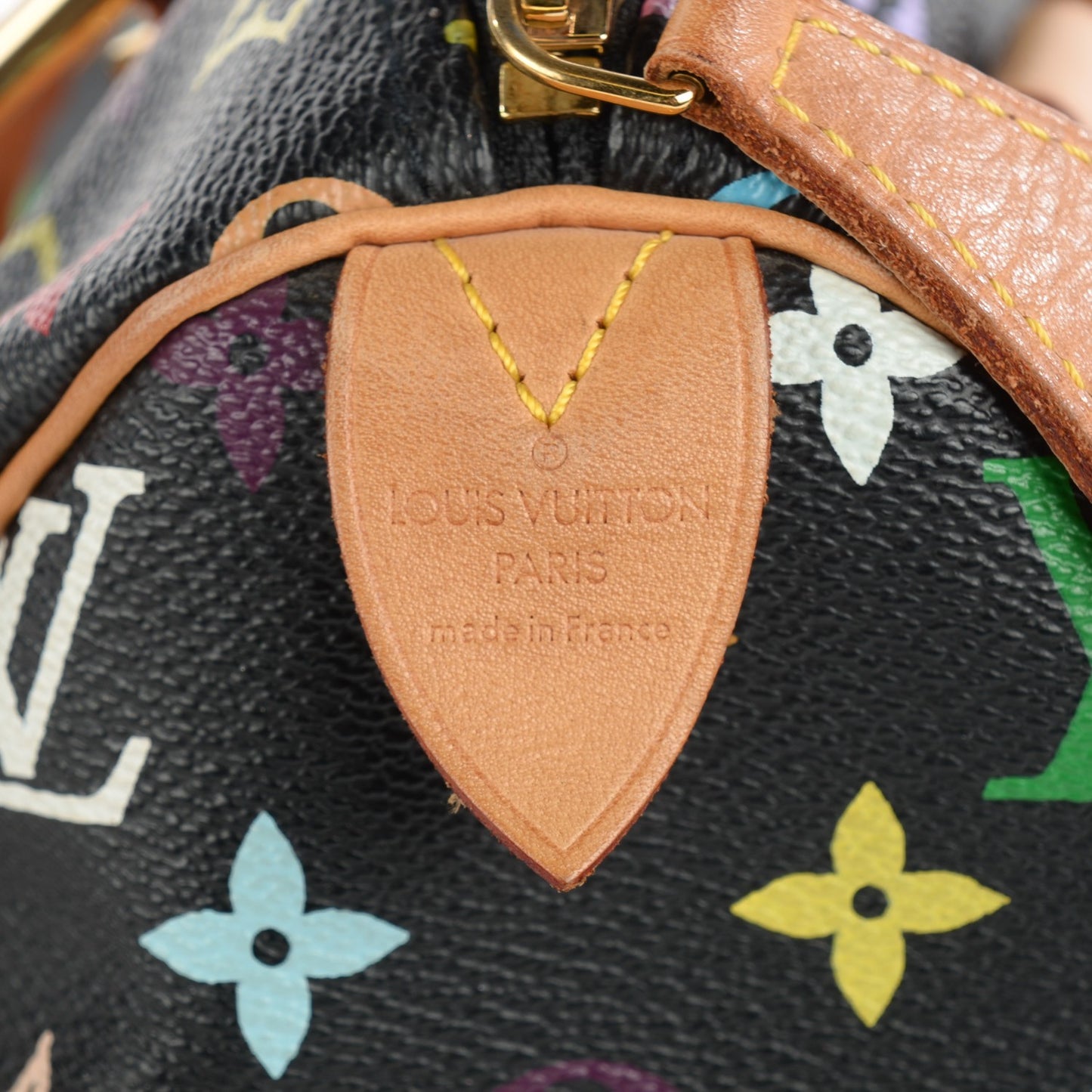 Monogram Multicolor Speedy 30 Black