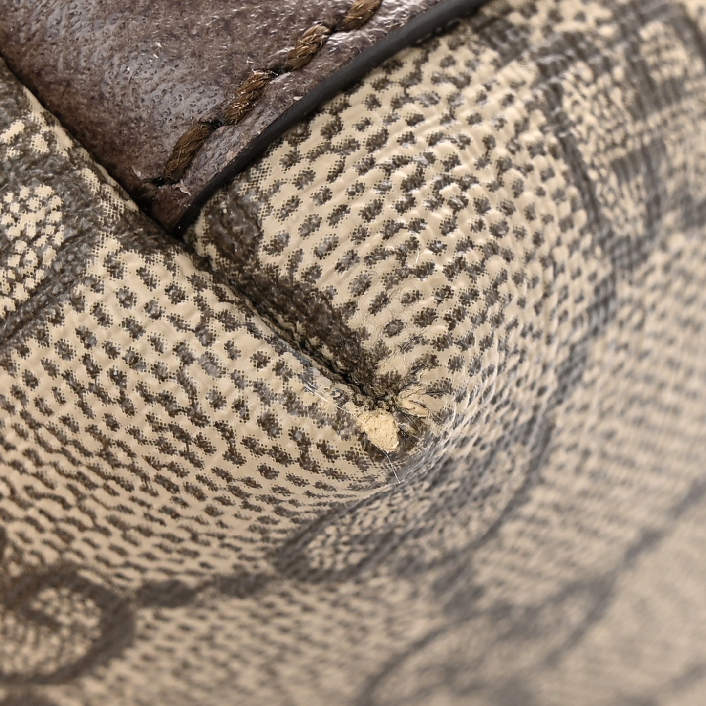 GG Supreme Monogram Textured Dollar Calfskin Web Small Ophidia Dome Shoulder Bag Beige Ebony New Acero
