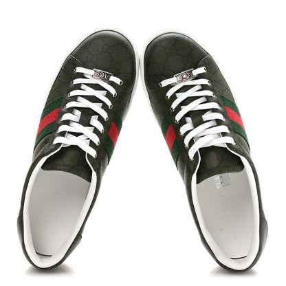 Gucci GG Supreme Monogram Web Mens New Ace Sneakers 9.5 Green 2 of 9