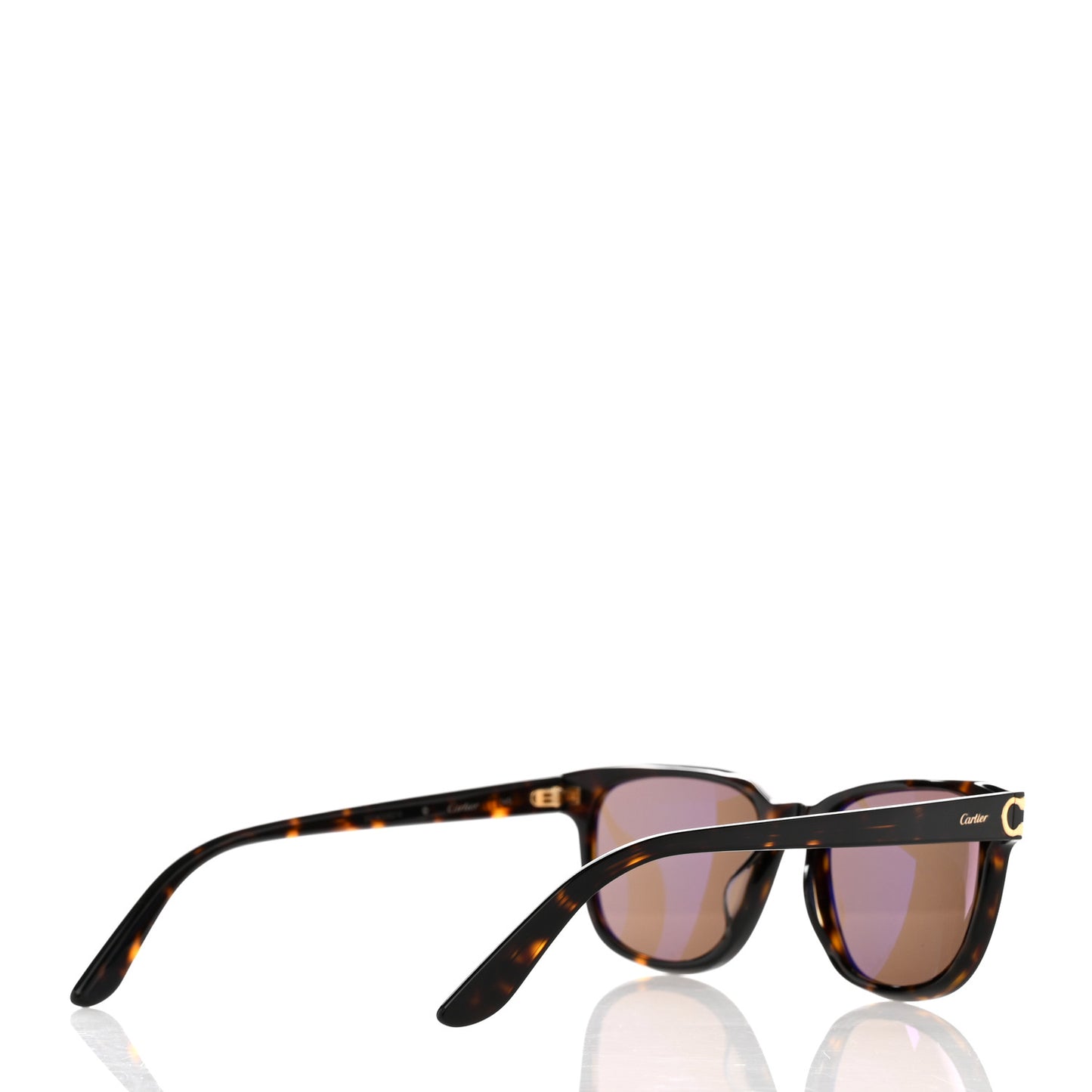 Acetate CT0002S Rectangular Sunglasses Brown