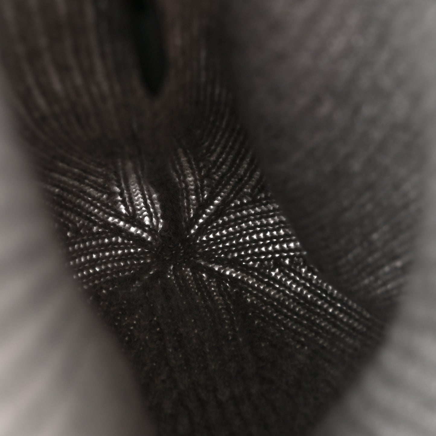 Cashmere Mens LV Ahead Beanie Gris