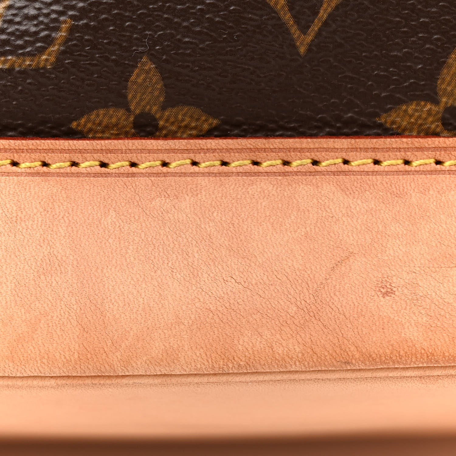 Louis Vuitton Monogram Petit Noe NM 15 of 16