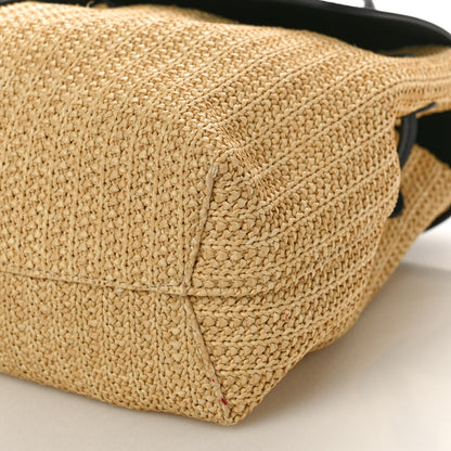 Mansur Gavriel Raffia Calfskin Lady Bag Natural Black 8 of 8