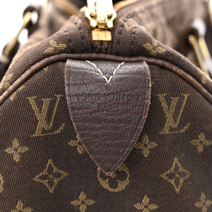Louis Vuitton Mini Lin Speedy 30 Ebene 6 of 12