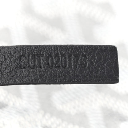 Goyard Goyardine Saint Louis GM Grey 8 of 11