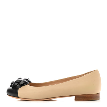 Chanel Lambskin Camellia Ballerina Flats 36.5 Beige Black 1 of 12