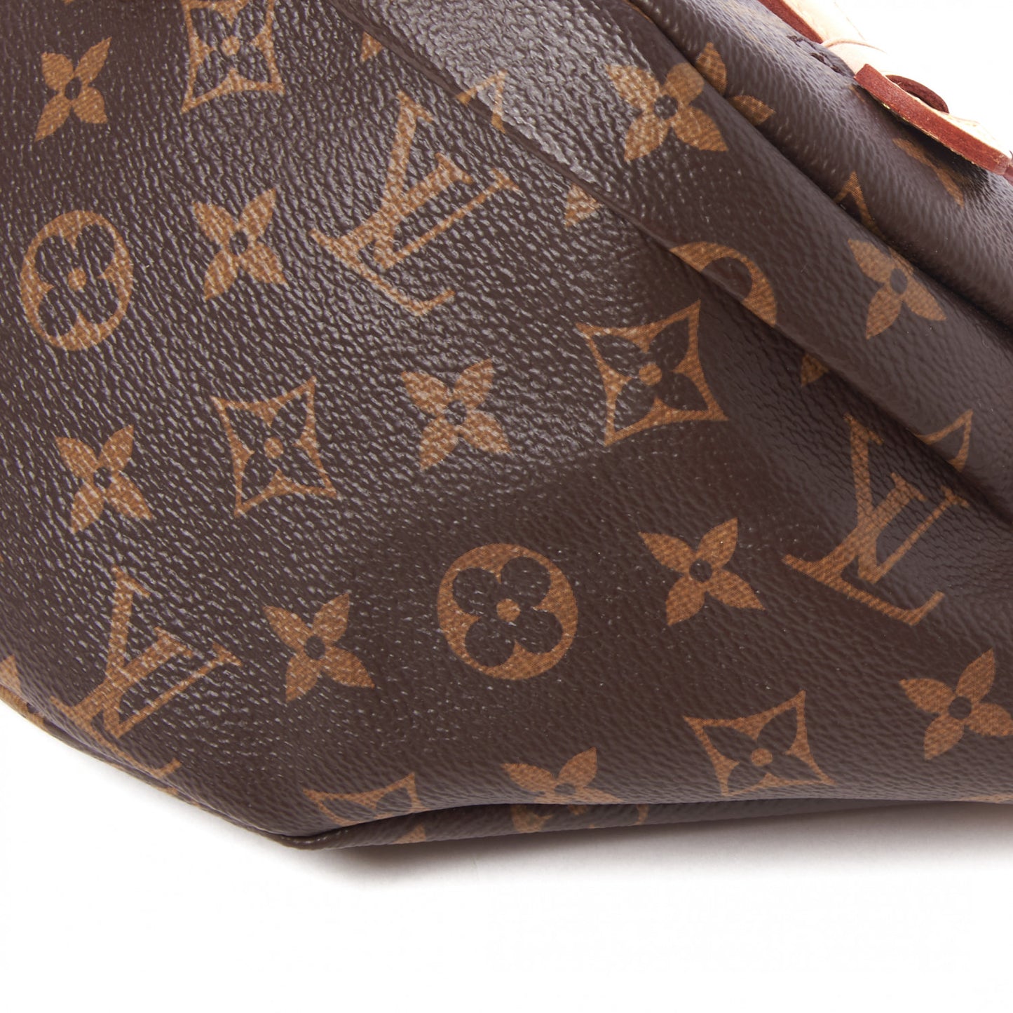 Monogram Bumbag