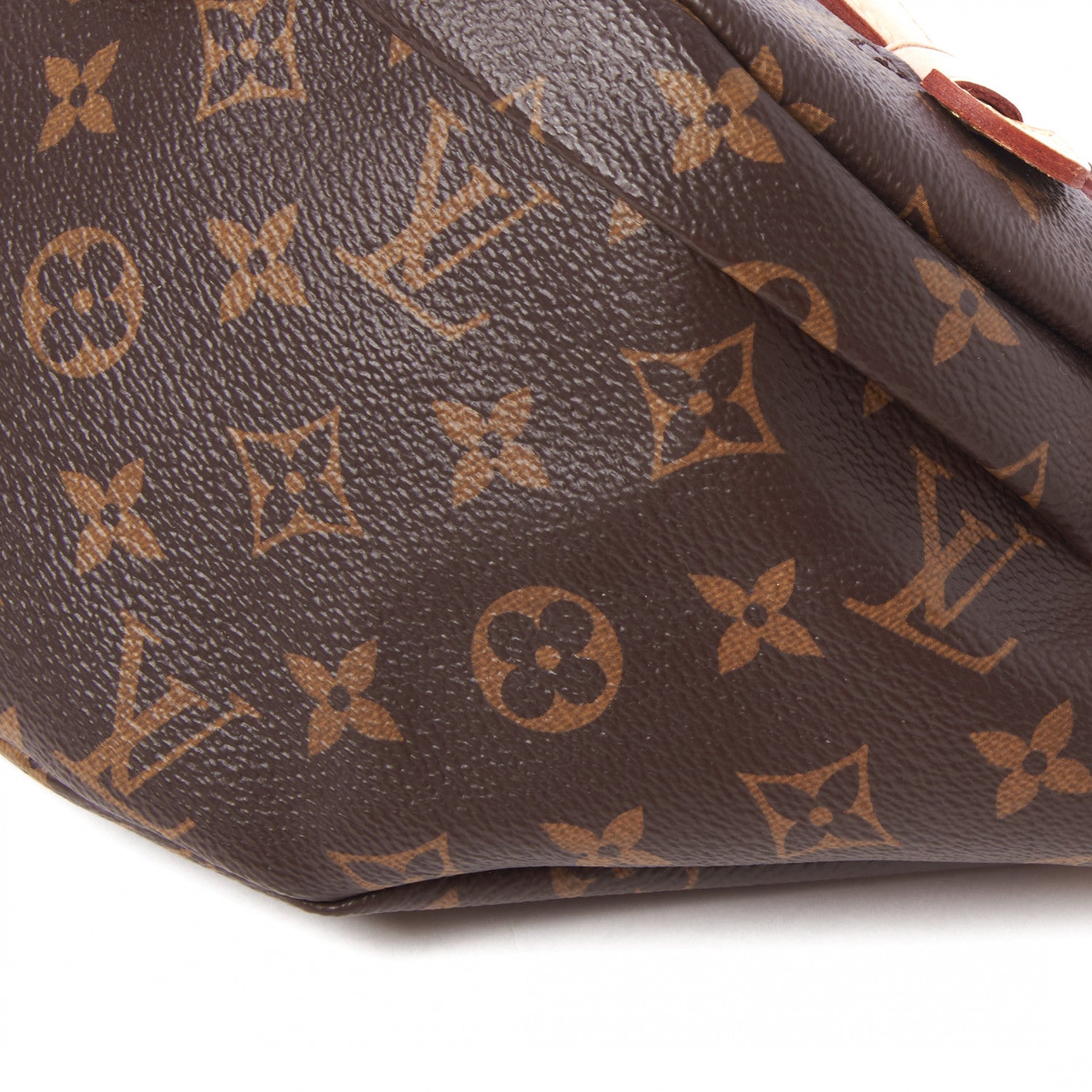 Louis Vuitton Monogram Bumbag 4 of 8