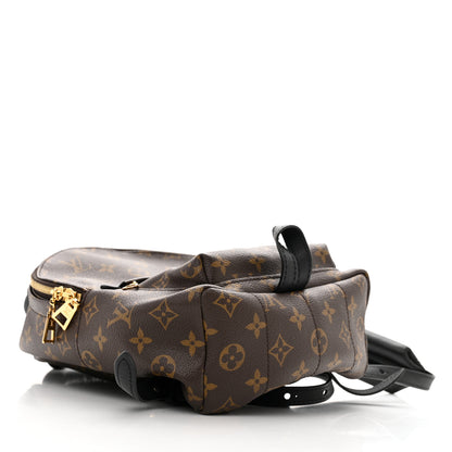Louis Vuitton Monogram Palm Springs Backpack PM 4 of 13