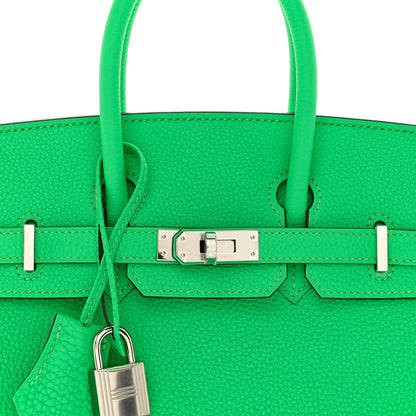 Hermes Togo Birkin 25 Vert Comics 8 of 11