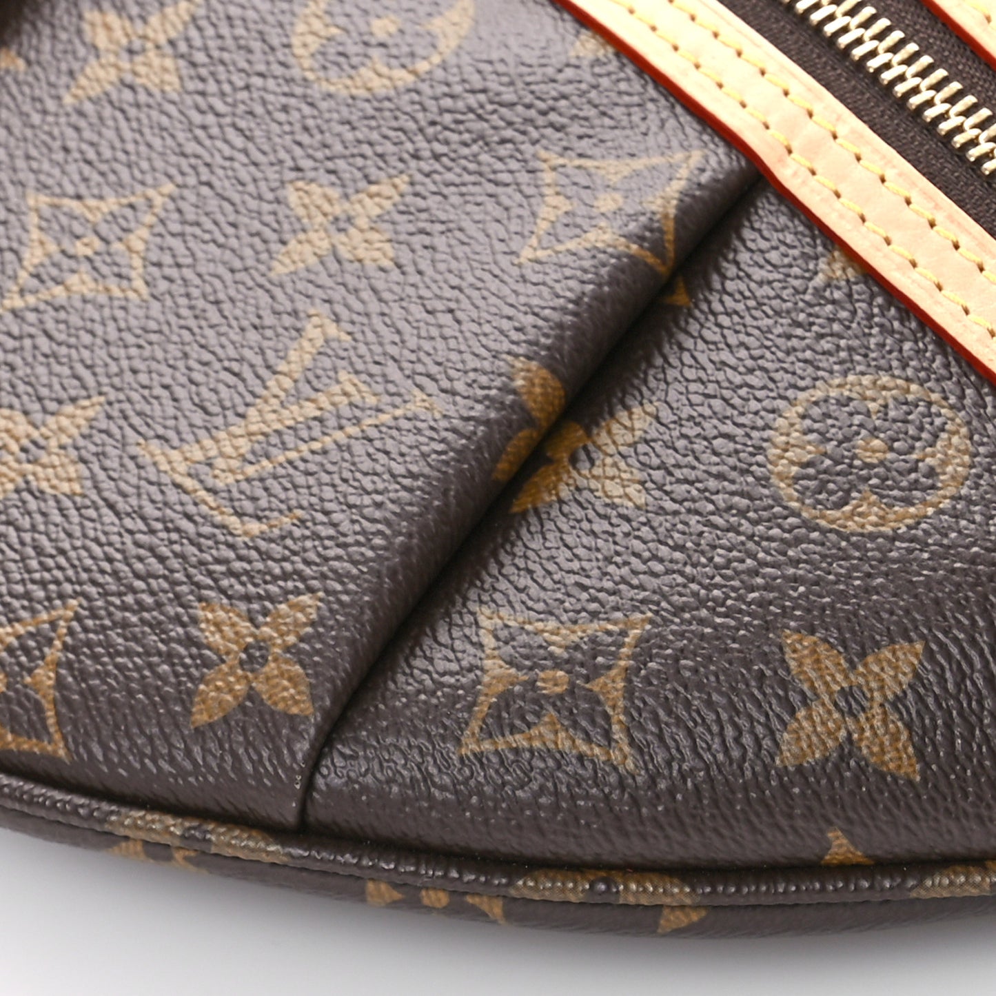 Monogram High Rise Bumbag