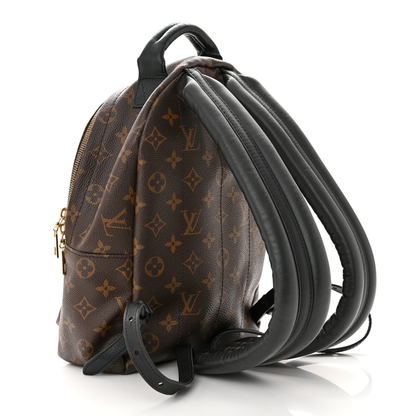 LOUIS VUITTON Monogram Palm Springs Backpack PM