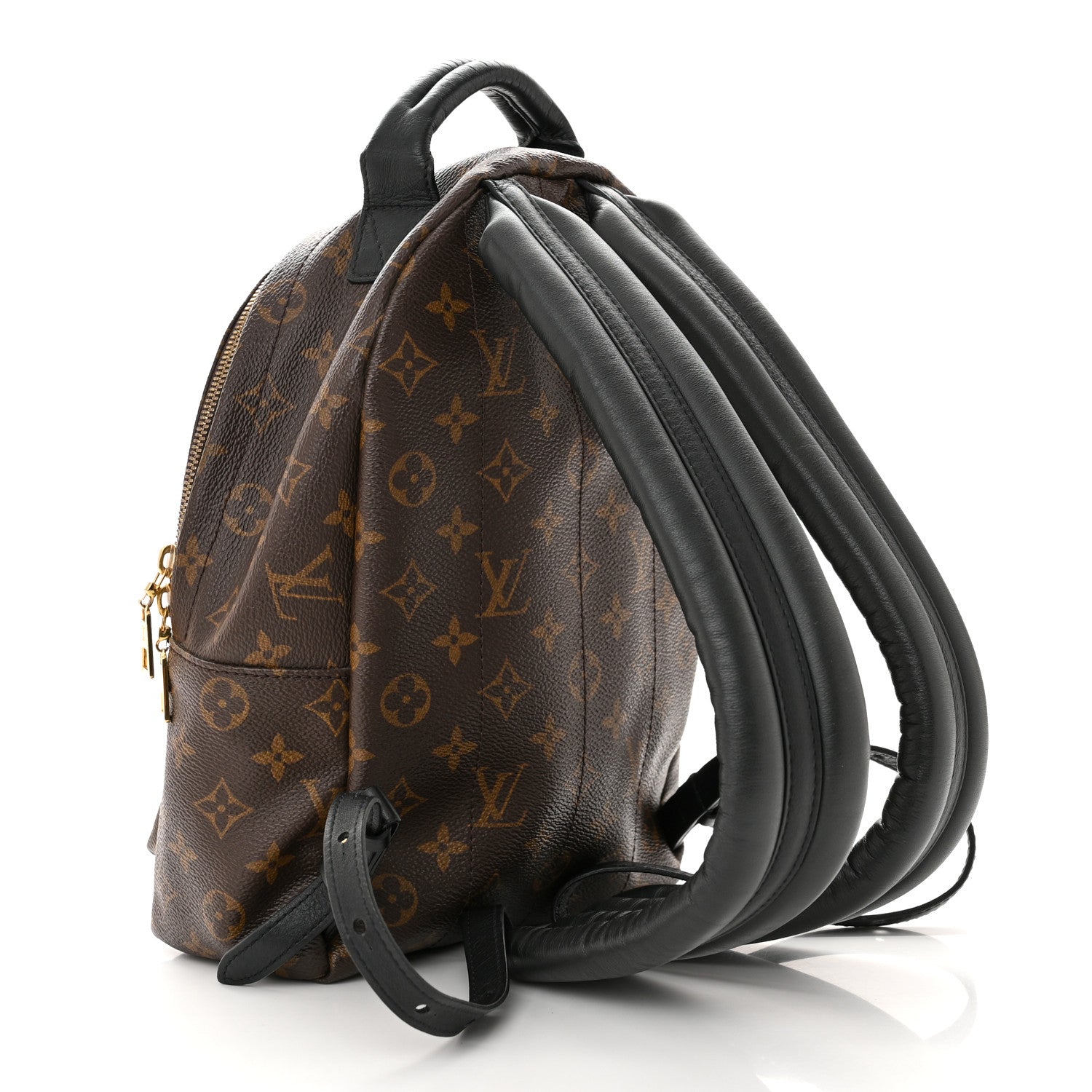 Louis Vuitton LOUIS VUITTON Monogram Palm Springs Backpack PM 2 of 10