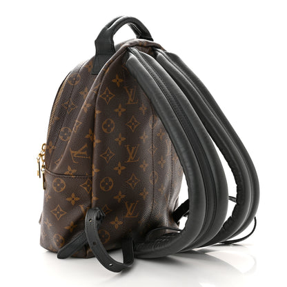 Louis Vuitton LOUIS VUITTON Monogram Palm Springs Backpack PM 2 of 10