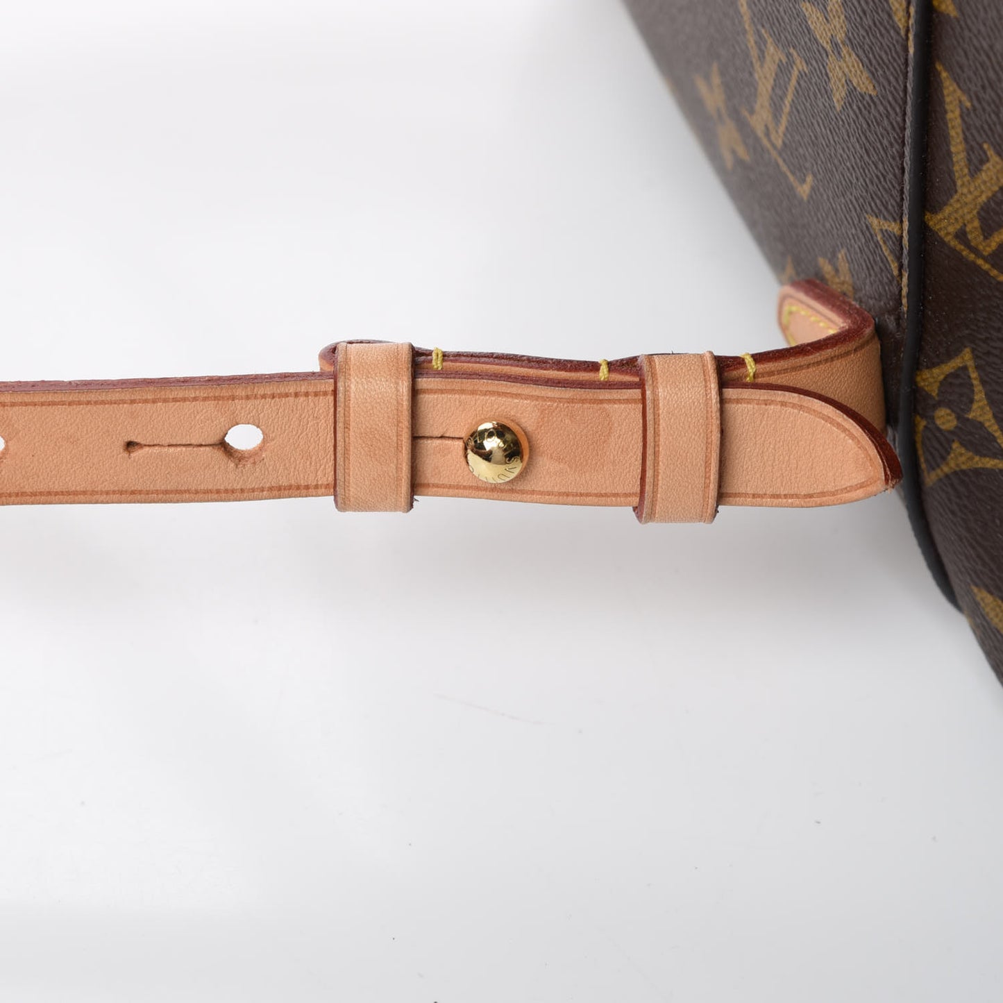 Monogram Montsouris NM Backpack