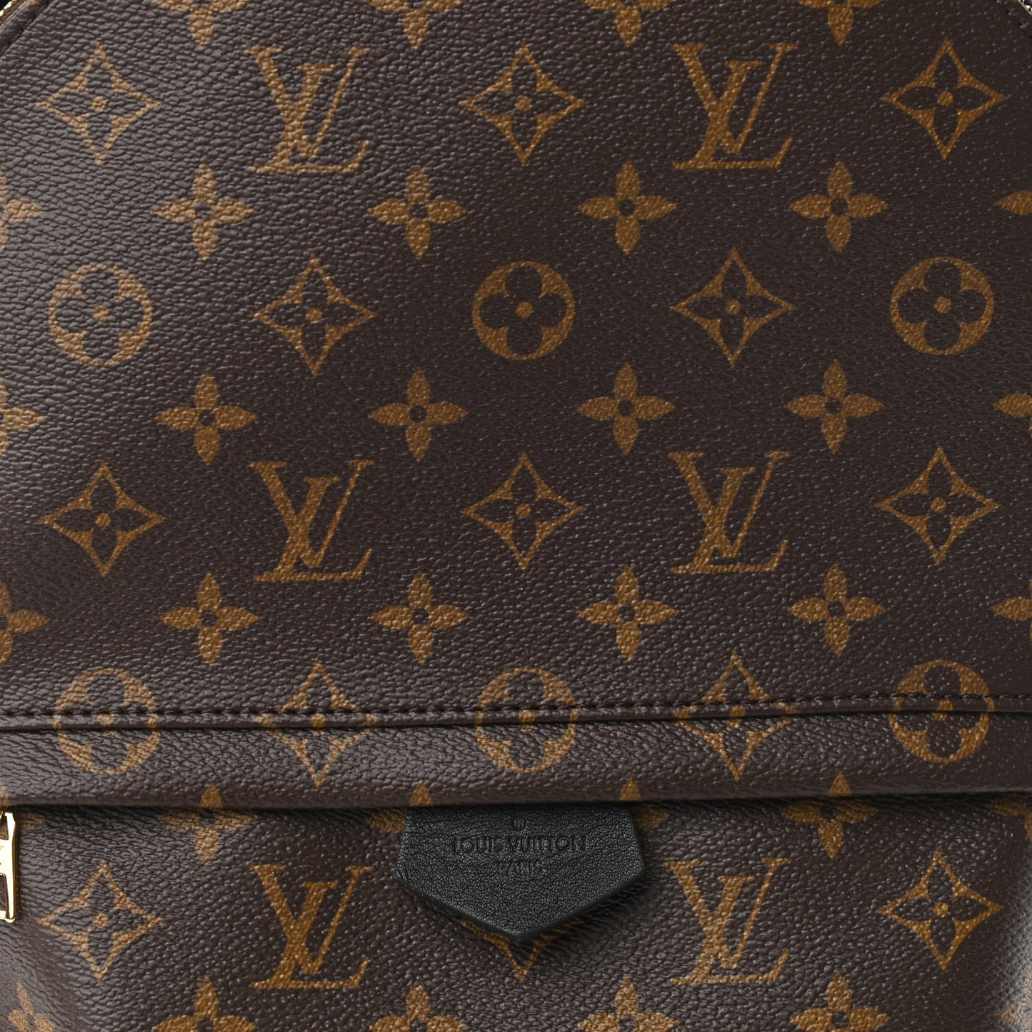 Monogram Palm Springs Backpack MM