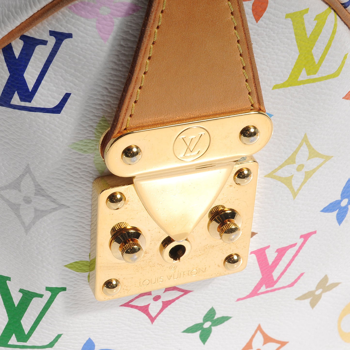 Monogram Multicolor Speedy 30 White