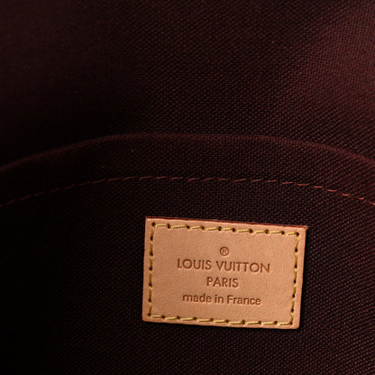 Louis Vuitton Monogram Favorite MM 6 of 10