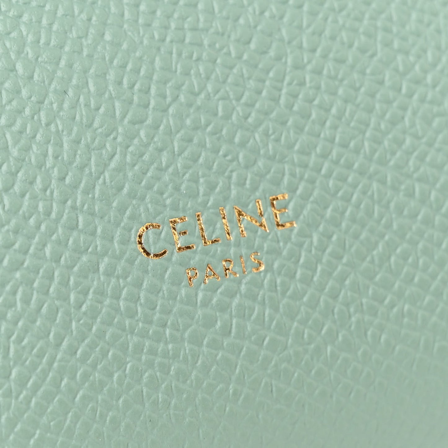 Grained Calfskin Nano Belt Bag Ice Mint