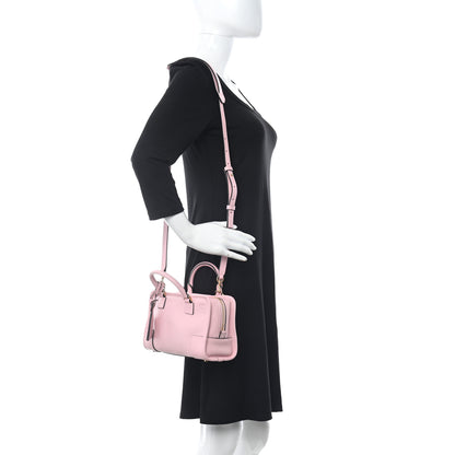 Loewe Calfskin Amazona 23 Pink 2 of 13