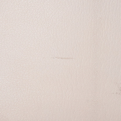 Celine Goatskin Mini Luggage White 18 of 21