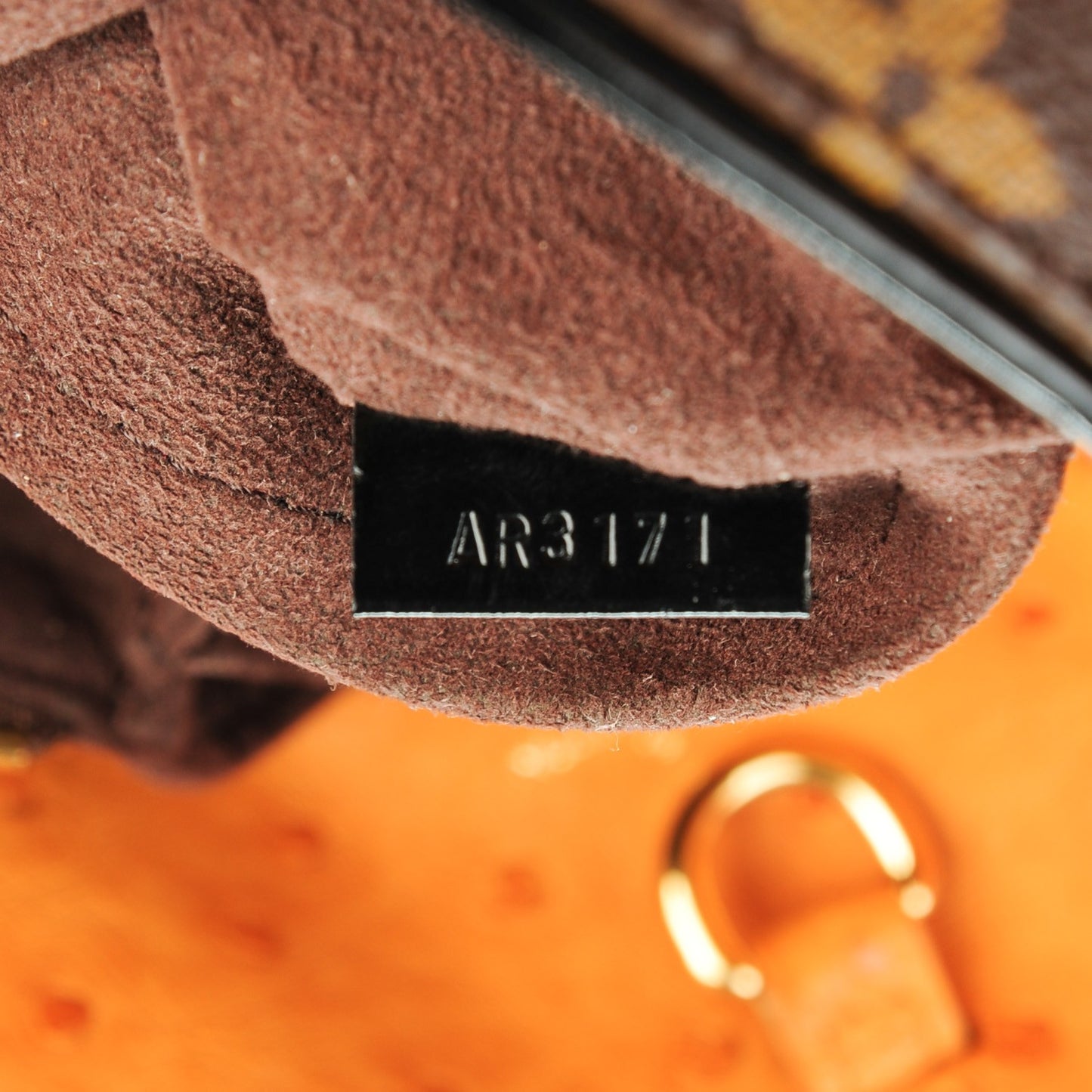 Monogram Etoile Exotique MM Blue