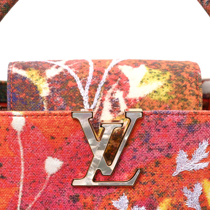 Louis Vuitton X SAM FELLS Canvas Embroidered Arty Capucines PM Multicolor 9 of 11