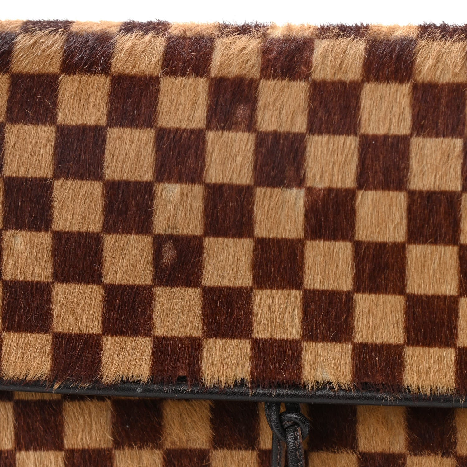 Louis Vuitton Damier Calf Hair Sauvage Lionne 9 of 14