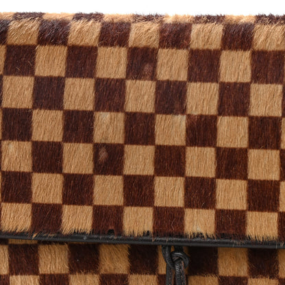 Louis Vuitton Damier Calf Hair Sauvage Lionne 9 of 14