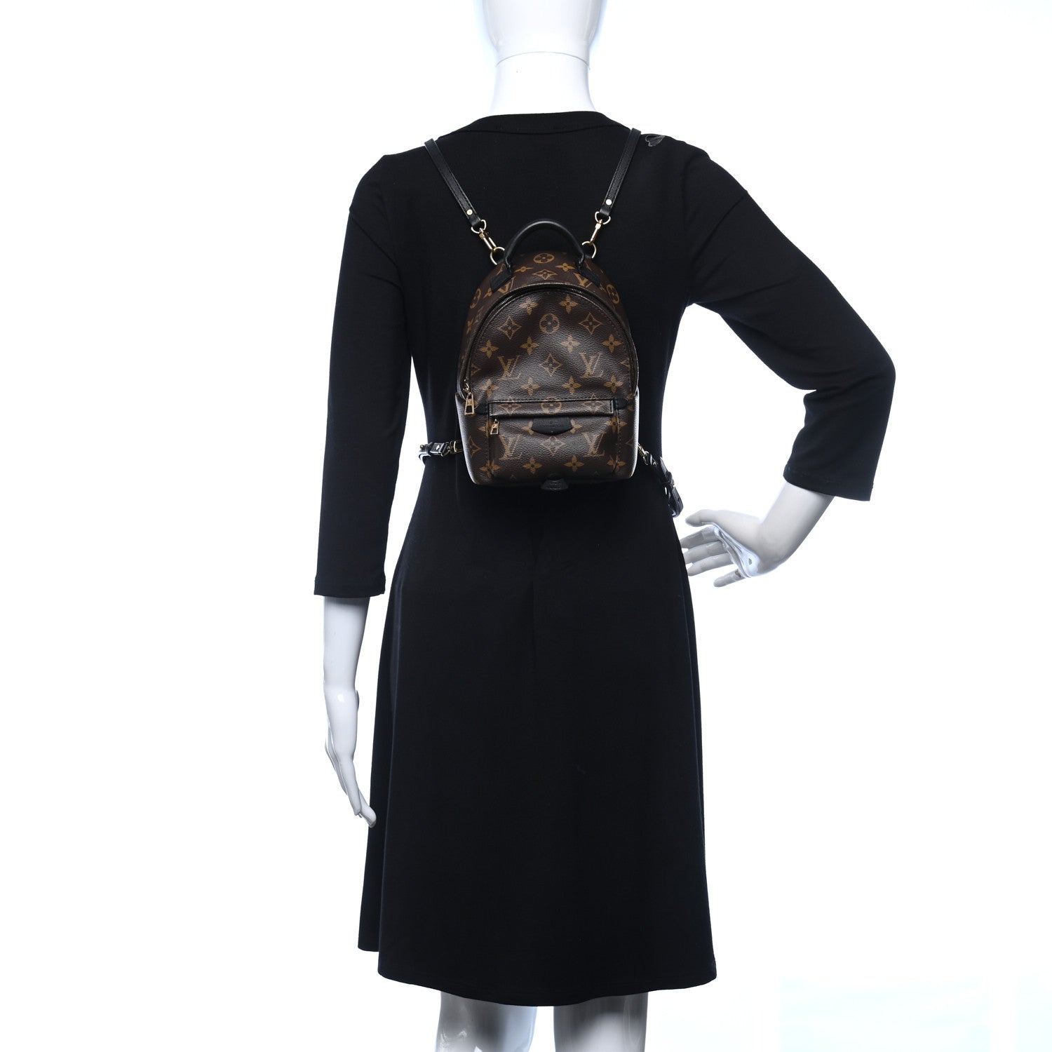 Louis Vuitton Monogram Palm Springs Backpack Mini 2 of 8
