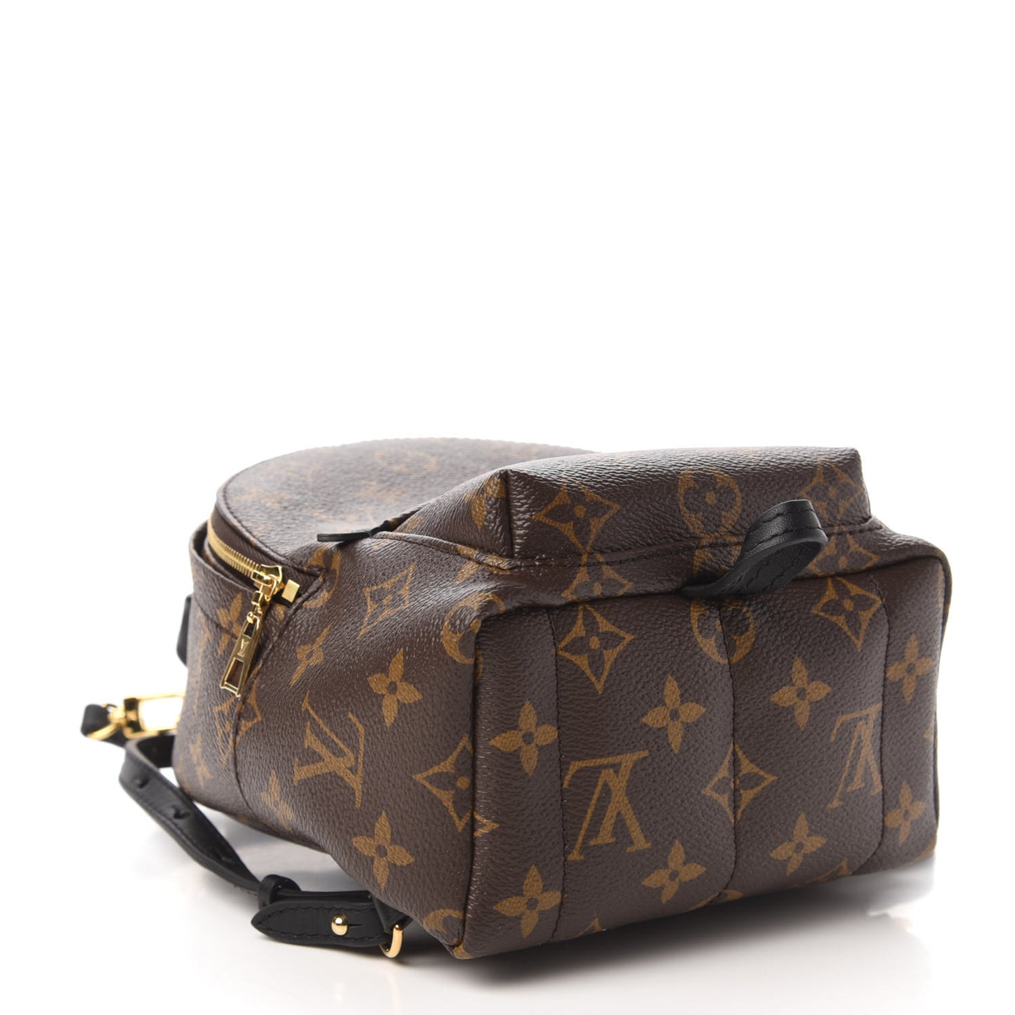 Monogram Palm Springs Backpack Mini