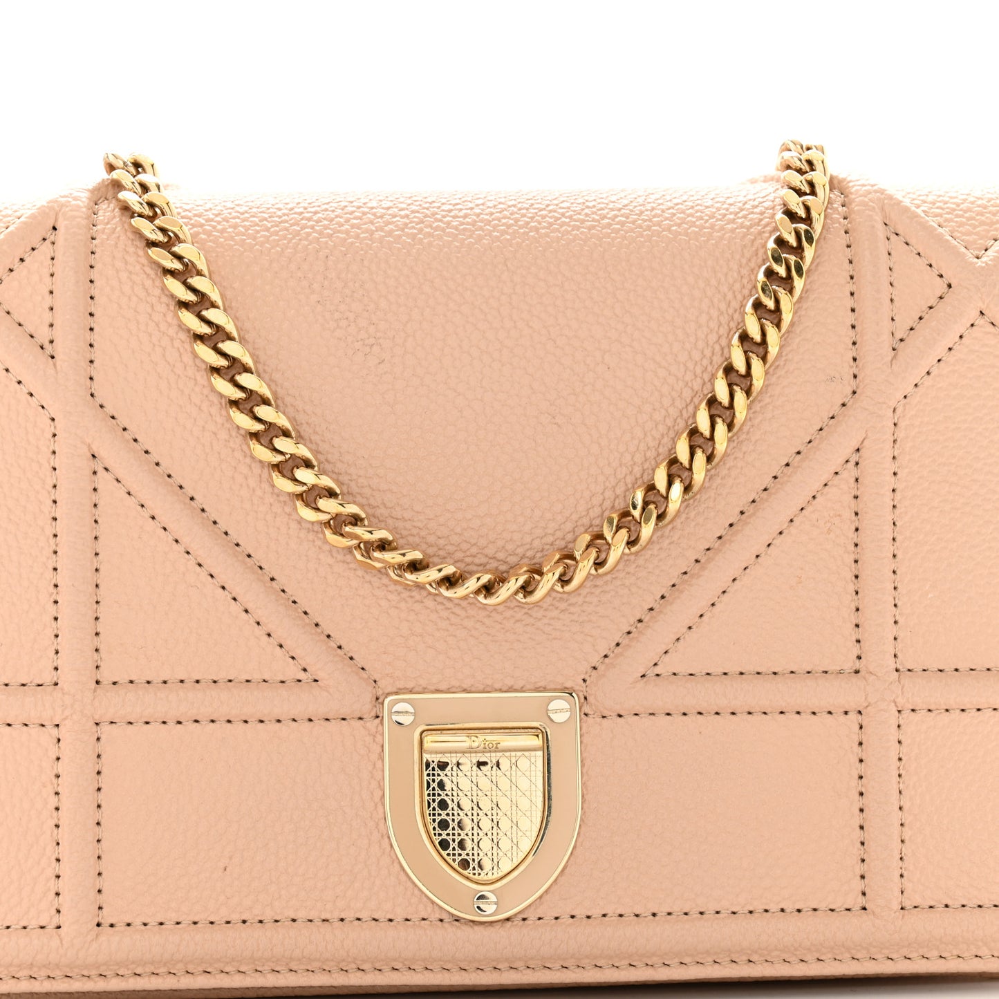 Grained Calfskin Diorama Wallet on Chain Pouch Nude