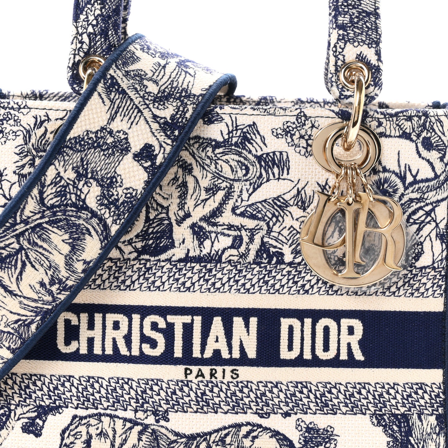 Toile de Jouy Embroidered Medium Lady D-Lite Blue