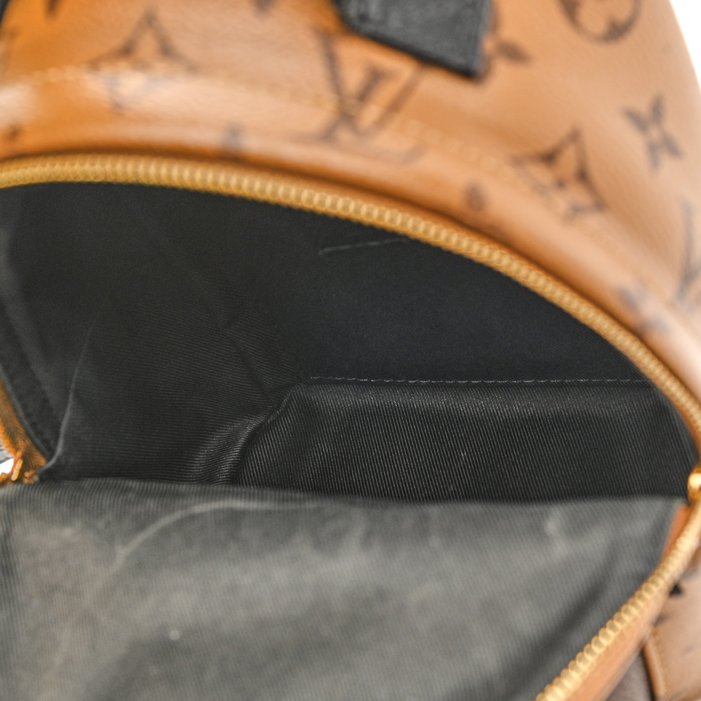 Reverse Monogram Palm Springs Backpack Mini