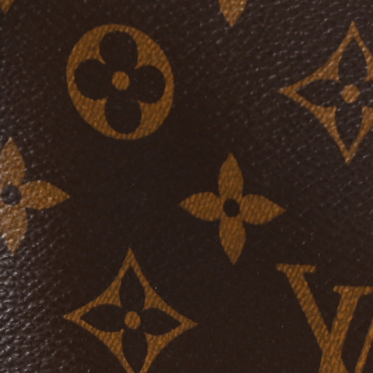 Monogram Petit Noe NM