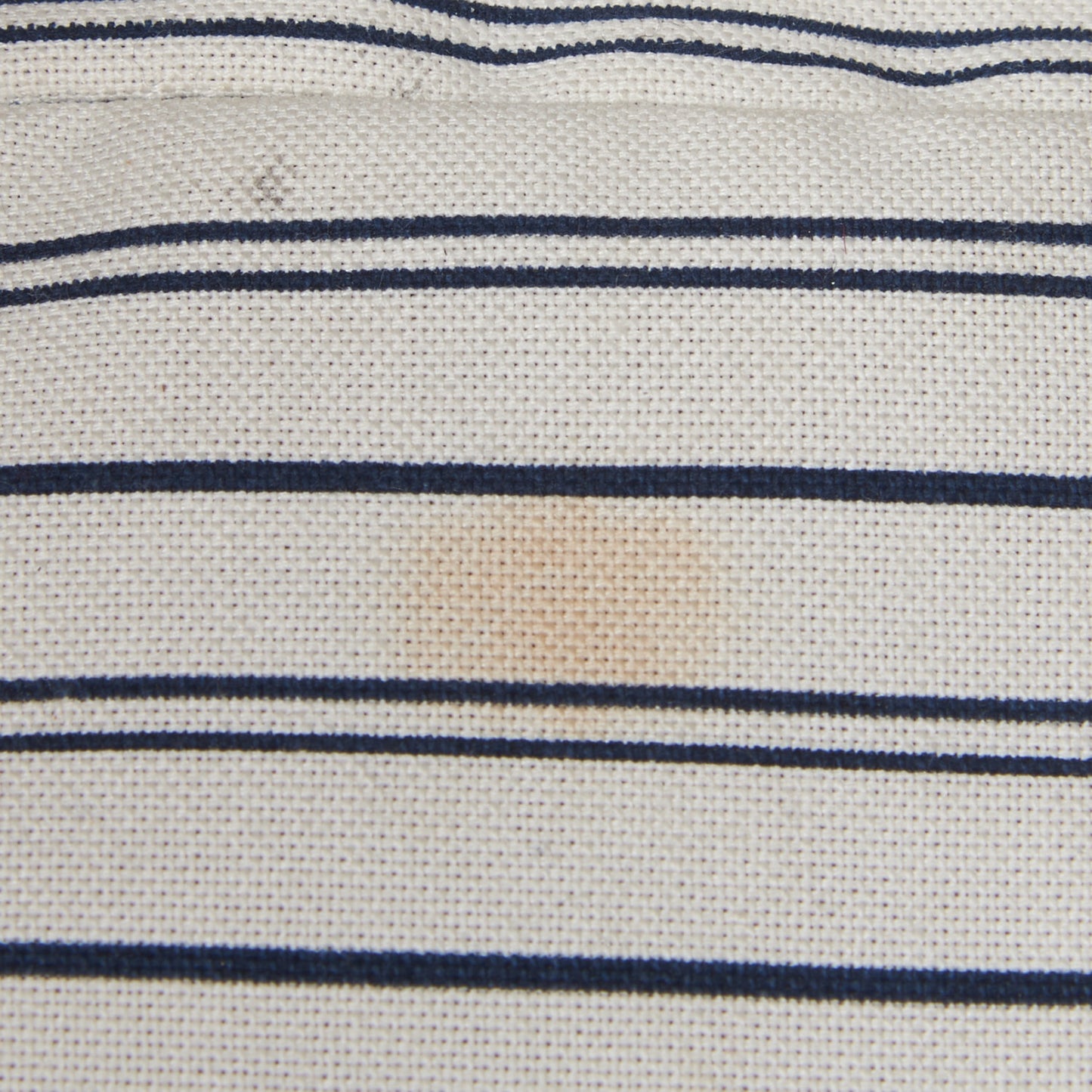 Empreinte Marais MM Neige